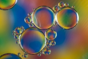 Oil Drops 1