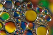 Oil Drops 4