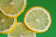 Lemon Slices 1