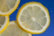 Lemon Slices 2