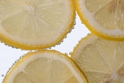 Lemon Slices 4