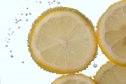 Lemon Slices 5