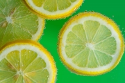 Lemon Slices 6