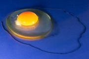 Egg 2