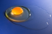 Egg 3
