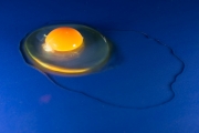 Egg 4