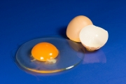 Egg 8