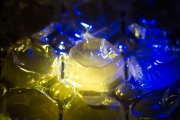 Plastic Garbage 6