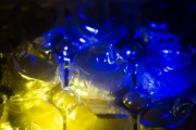 Plastic Garbage 7