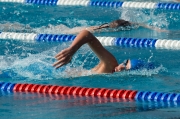 Swimming Competition 4