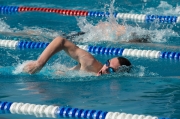 Swimming Competition 5