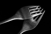Forks 2