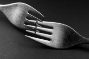 Forks 7