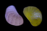 Jelly Fruits 4
