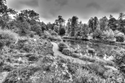 Botanic Garden Munich 1