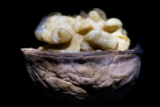 Walnut 6