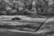 Jardin des Plantes de Rouen 3