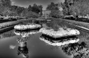 Jardin des Plantes de Rouen 4