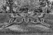 Jardin des Plantes de Rouen 5