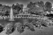 Jardin des Plantes de Rouen 6