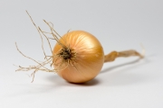 Onion 1