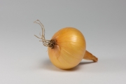 Onion 3