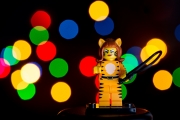 Bokeh Experiment 1
