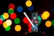 Bokeh Experiment 3