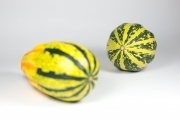 Decorative Gourds 1