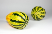 Decorative Gourds 2