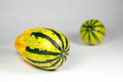 Decorative Gourds 3