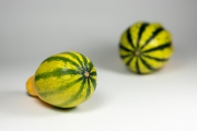 Decorative Gourds 4