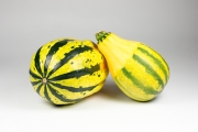 Decorative Gourds 5