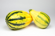 Decorative Gourds 6