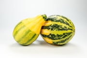Decorative Gourds 7