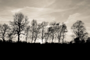 Sunset 2 (Cremeton)