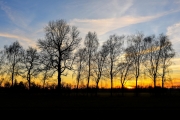 Sunset 3
