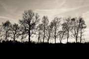 Sunset 3 (Cremeton)