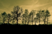 Sunset 3 (Tonemapping Preset 3)