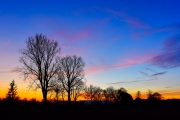 Sunset 4