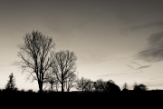 Sunset 4 (Cremeton)