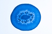 Kiwi 1
