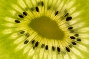 Kiwi 2