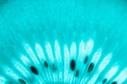 Kiwi 3