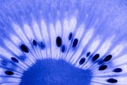 Kiwi 4