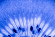 Kiwi 6