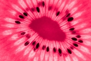 Kiwi 7