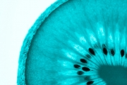 Kiwi 10