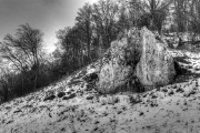 Rocks and Trees 1