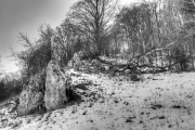 Rocks and Trees 3
